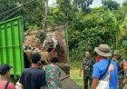 Kepala Staf Angkatan Darat (KSAD) Berikan Bantuan Hewan Ternak Di Rancapinang Cimanggu Pandeglang