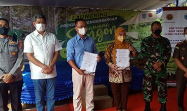 Dandim 0601/Pandeglang Hadiri Kegiatan Launching Program Pengembangan Tanaman Sengon