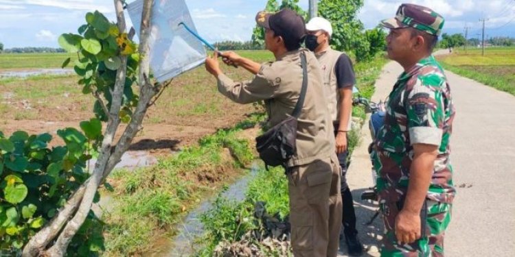 Anggota Koramil 0111/Pagelaran Bersama Satpol PP Dampingi Panwaslu Tertibkan APK yang melanggar PKPU 15 Tahun 2023