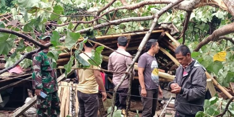 Sigap, Babinsa Koramil 0112/Jiput Datangi Rumah Warga Yang Tertimpa Pohon