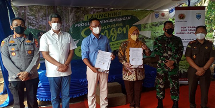 Dandim 0601/Pandeglang Hadiri Kegiatan Launching Program Pengembangan Tanaman Sengon