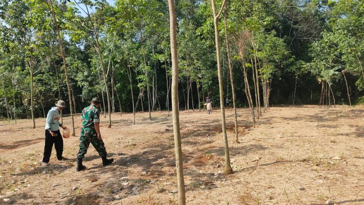 Sertu Rahmat PH Babinsa Koramil 0103/Banjar Kodim 0601/Pandeglang Laksanakan Program Ketahanan Pangan di Kampung Kadu Carangka