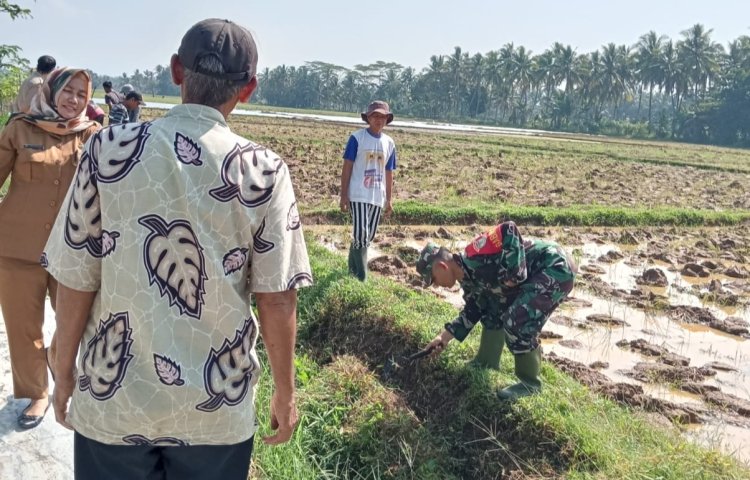 Koramil 0111/Pagelaran Dukung Gerakan Penanganan Dampak Fenomena Iklim di Desa Tegalpapak