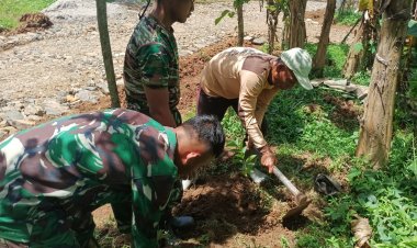 Satgas TMMD ke-126 Laksanakan Lanjutan Penanaman Pohon Jambu, Sirsak, dan Albasiah di Hari ke-21