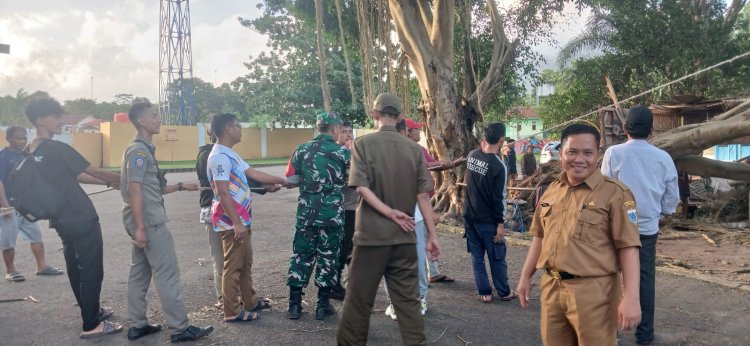 Tanggap Darurat Pohon Tumbang oleh Babinsa Koramil 0101/Pandeglang