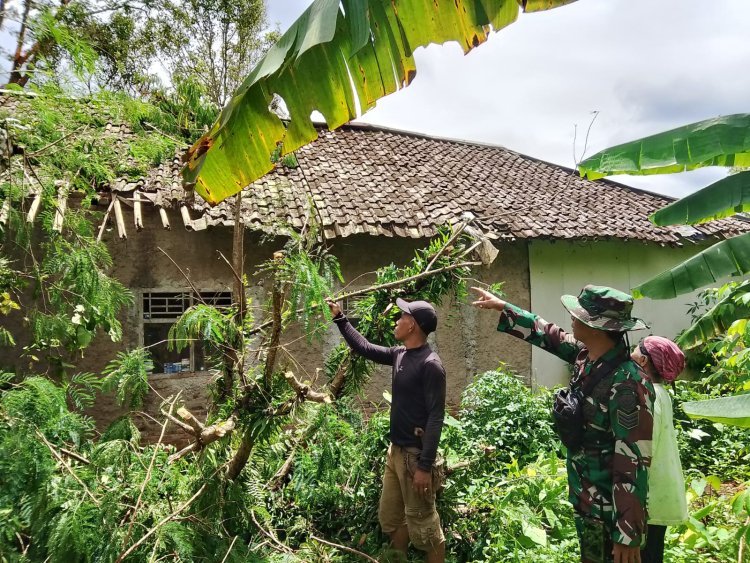BABINSA KORAMIL 0105/MANDALAWANGI TINJAU LOKASI RUMAH ROBOH AKIBAT POHON TUMBANG DI DESA PARI