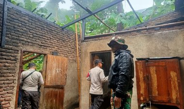 BABINSA KORAMIL 0102/CADASARI MONITORING DAN PENANGANAN BENCANA ALAM POHON TUMBANG