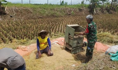Serka Toro Babinsa Koramil 0117/Panimbang Laksanakan Monitoring Ketahanan Pangan di Desa Cibungur, Kecamatan Sukaresmi