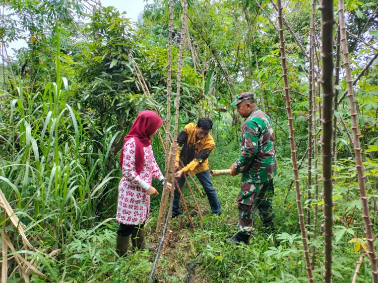 Pelda Yuliyandri Melaksanakan Kegiatan Komsos dan Pengukuran Lahan KDMP oleh Babinsa Koramil 0102/Cadasari