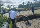 GERAKAN TANAM PADI SAWAH DI DESA BANJAR, KECAMATAN BANJAR, KABUPATEN PANDEGLANG