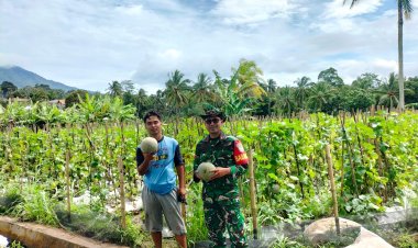 Koptu Imron Mawardi Babinsa Koramil 0104/Cimanuk Laksanakan Komsos Bersama Poktan Desa Kadumadang untuk Monitoring Wilayah