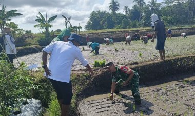 GERAKAN TANAM PADI SAWAH DI DESA BANJAR, KECAMATAN BANJAR, KABUPATEN PANDEGLANG