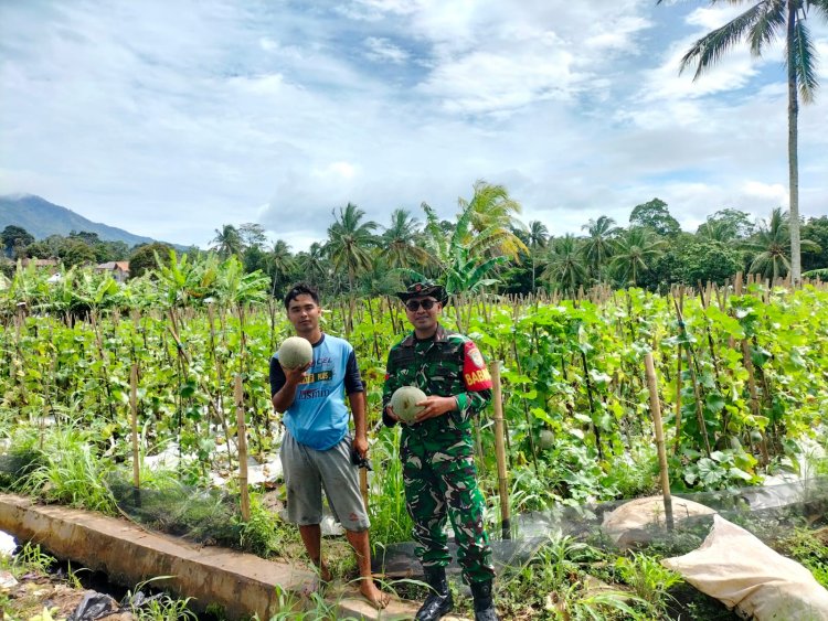Koptu Imron Mawardi Babinsa Koramil 0104/Cimanuk Laksanakan Komsos Bersama Poktan Desa Kadumadang untuk Monitoring Wilayah
