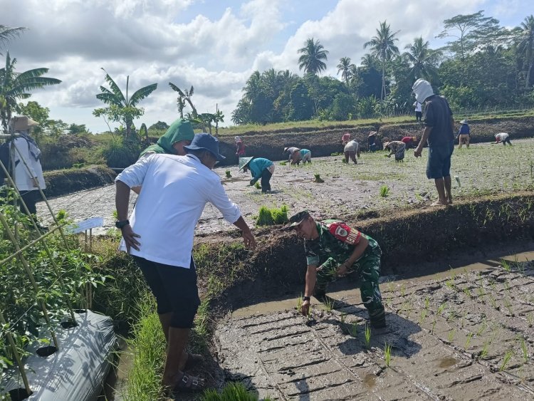 GERAKAN TANAM PADI SAWAH DI DESA BANJAR, KECAMATAN BANJAR, KABUPATEN PANDEGLANG