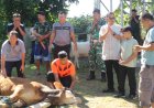 Kodim0601/Pandeglang,, Semangat Kebersamaan dan Kepedulian, Dandim 0601/Pandeglang Pimpin Penyembelihan Hewan Kurban Idul Adha 1447 H/2026 M