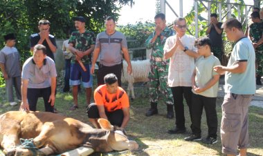 Kodim0601/Pandeglang,, Semangat Kebersamaan dan Kepedulian, Dandim 0601/Pandeglang Pimpin Penyembelihan Hewan Kurban Idul Adha 1447 H/2026 M